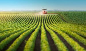 Leia mais sobre o artigo Notários e o Agronegócio: uma parceria fundamental para os produtores rurais