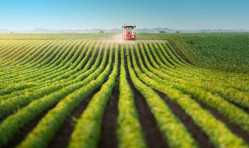 Leia mais sobre o artigo Notários e o Agronegócio: uma parceria fundamental para os produtores rurais