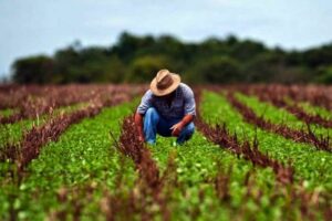 Leia mais sobre o artigo Cartórios de RC garantem exercício da cidadania para milhões de trabalhadores do agronegócio